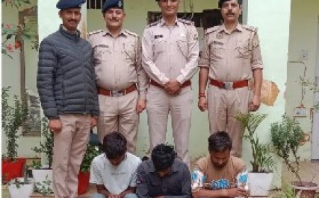 सोलन में पत्नी की हत्या की साजिश नाकाम, 80 मीटर गहरी खाई में फेंकने वाले तीन आरोपी आधे घंटे में गिरफ्तार