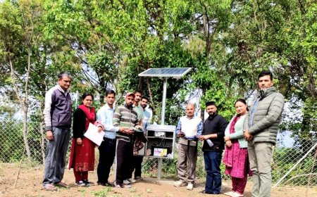 तमरोह क्लस्टर में जापानी फल की दस्तकः एचपी शिवा परियोजना बनी सहारा*