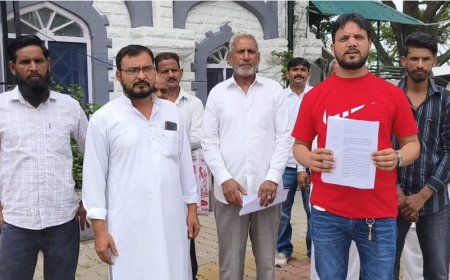 मिश्रवाला पंचायत प्रधान के खिलाफ डीसी को शिकायतपत्र, उपप्रधान की अगुवाई में डीसी से मिले लोग