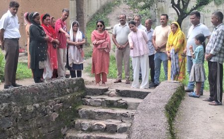 डीसी गंधर्वा राठौड़ ने बमसन की पंचायतों में लिया विकास कार्यों का जायजा