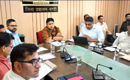 उपायुक्त ने की जिला स्तरीय टास्क फोर्स एवं जिला पर्यावरण योजना की समीक्षा बैठक की अध्यक्षता