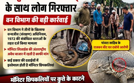 चार दुर्लभ मॉनिटर लिज़ार्ड्स के साथ लोग लोग गिरफ्तार , वन विभाग की बड़ी कार्रवाई