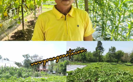 प्राकृतिक खेती से बदली सुनील कुमार की तकदीर , प्रगतिशील किसान दो बीघा भूमि से कमा रहे सालाना डेढ़ से दो लाख रुपये