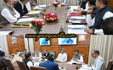 सुक्खू ने खोला नौकरी का पिटारा ,  मंत्रिमंडल ने प्रदेश में 7500 से ज्यादा पदों को भरने पर लगाई मुहर 