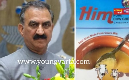 फिर महंगा हुआ हिम घी , मिल्कफेड ने 50 रुपये प्रति किलो बढ़ाए दाम , आम जनता पर पड़ी महंगाई की मार 