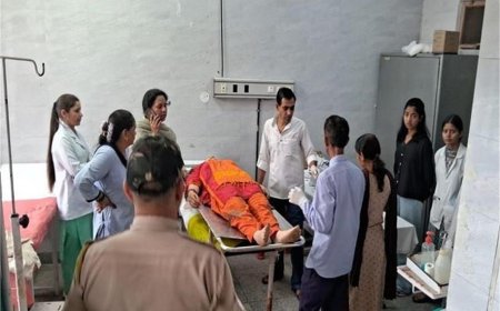 पानी पीने के लिए रुके परिवार पर अचानक गिरी चट्टान, 1 महिला की मौत 7 घायल
