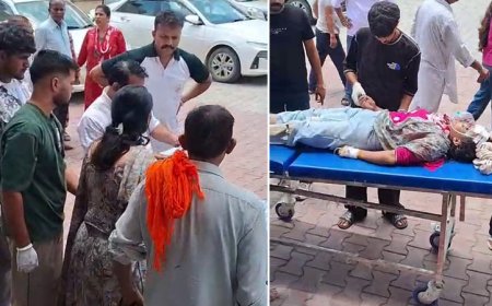 अंब के पंजोआ में सडक़ हादसे में बाइक सवार भाई-बहन की मौत, महिला घायल