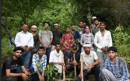 जिला सिरमौर में प्रदेश सरकार की योजनाओं से मजबूत हो रहा वन संरक्षण का अभियान’