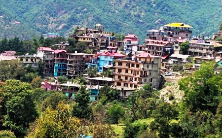 जुन्गा शहर में समस्याओं का अंबार - नवनिर्वाचित पंचायत के लिए  बड़ी चुनौती