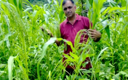हरनेड के किसान ललित कालिया ने प्रस्तुत की मिश्रित खेती की मिसाल