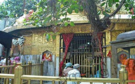 चिंतपूर्णी मंदिर के सुगम दर्शन पास में फर्जीवाड़ा, एक ही ट्रांजेक्शन आईडी से हुए कई भुगतान