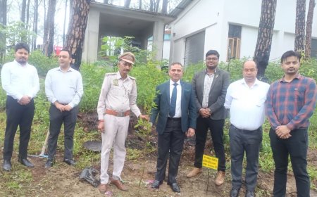 जिला विधिक सेवाएं प्राधिकरण ने आयोजित किया पौधारोपण कार्यक्रम