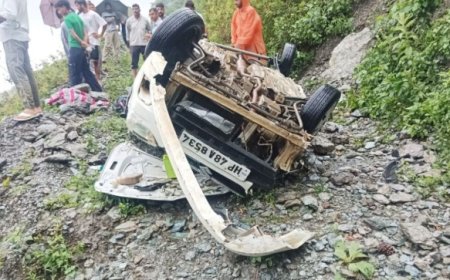 खाई में गिरी कार, पांच लोगों की दर्दनाक मौत