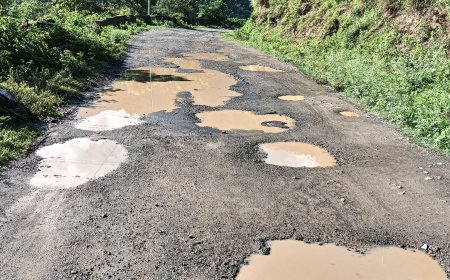 छलंडा-पीरन सड़क का दस किलोमीटर हिस्सा गड्ढों में तबदील, वाहन चालक  और लोग परेशान