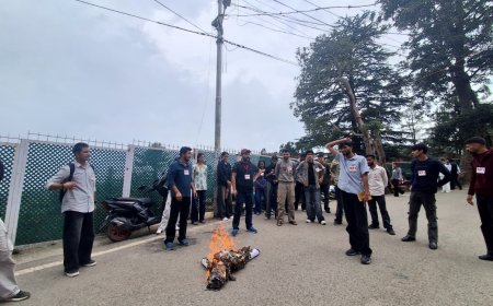 जंतर-मंतर पर प्रदर्शन कर रहे छात्रों पर की गई टिप्पणी के विरोध में एसएफआई का प्रदर्शन, कंगना रनौत का पुतला दहन
