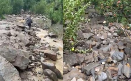 शिलिंग नाले में बादल फटा, 100 से अधिक सेब के पेड़ बहे