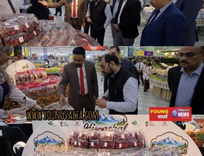 हिमाचल के फलों की मिठास बनी ओमान की पहली पसंद, हिमाचल से पहली बार ताजी चेरी और प्लम की खेप ओमान पहुंची