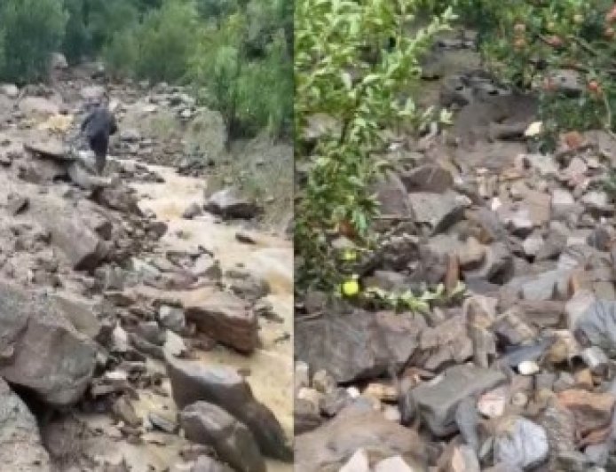 शिलिंग नाले में बादल फटा, 100 से अधिक सेब के पेड़ बहे