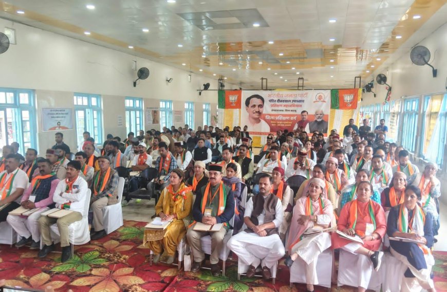 भ्रष्टाचार, तुष्टिकरण और लोकतंत्र की हत्या—इन्हीं तीन स्तंभों पर टिकी है सुक्खू सरकार : डॉ. सिकंदर कुमार