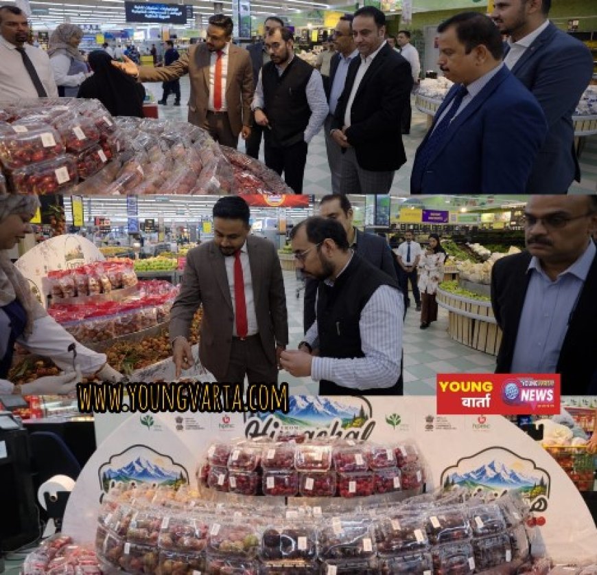 हिमाचल के फलों की मिठास बनी ओमान की पहली पसंद, हिमाचल से पहली बार ताजी चेरी और प्लम की खेप ओमान पहुंची