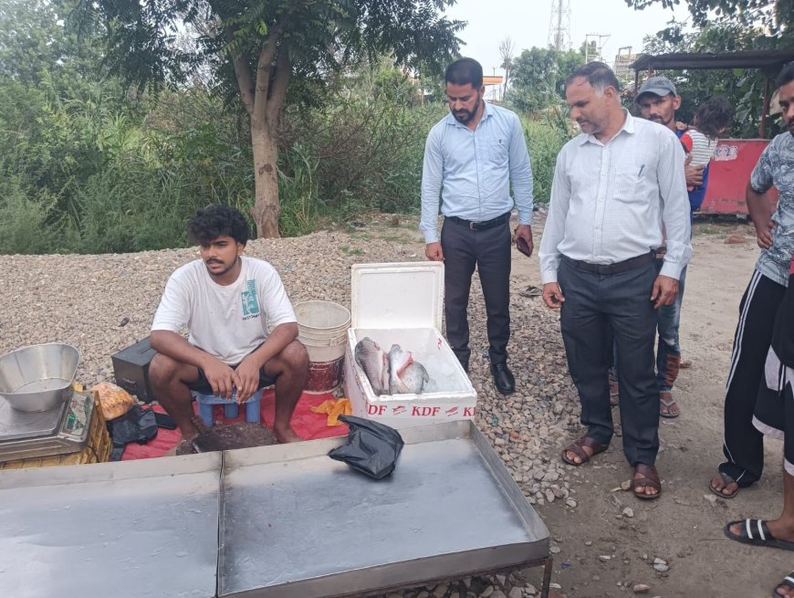 प्रतिबंधित सीजन में अवैध मछली बिक्री पर मत्स्य विभाग की सख्त कार्रवाई, पांच मामलों में 8 हजार रुपये जुर्माना वसूला