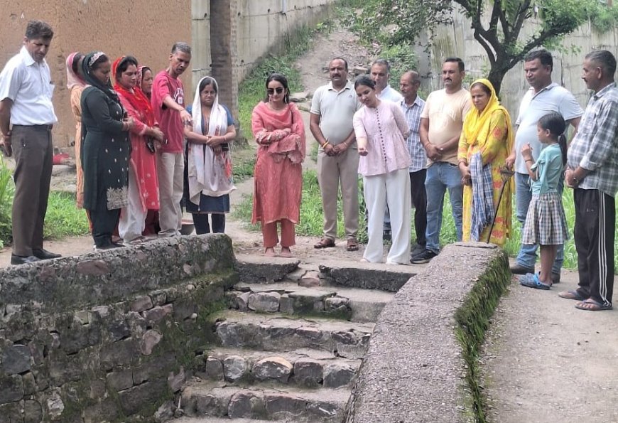 डीसी गंधर्वा राठौड़ ने बमसन की पंचायतों में लिया विकास कार्यों का जायजा