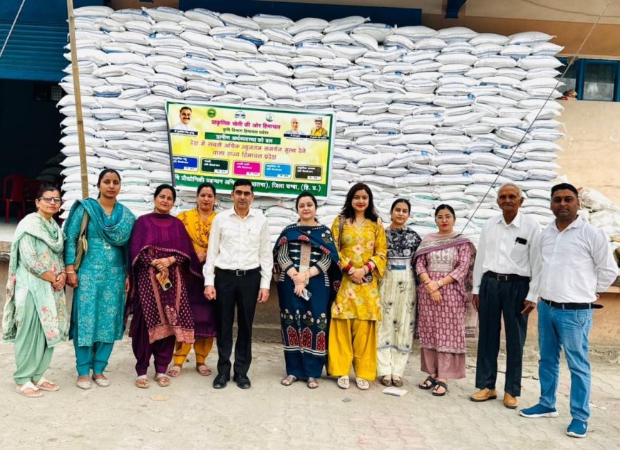 प्राकृतिक खेती से उत्पादित फसलों को हिमाचल सरकार द्वारा समर्थन मूल्य पर खरीदने से किसानों को हो रहा लाभ
