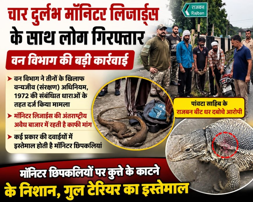 चार दुर्लभ मॉनिटर लिज़ार्ड्स के साथ लोग लोग गिरफ्तार , वन विभाग की बड़ी कार्रवाई