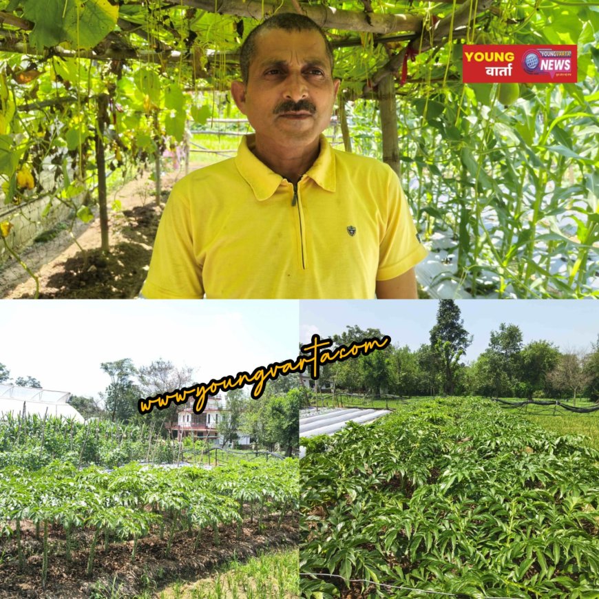 प्राकृतिक खेती से बदली सुनील कुमार की तकदीर , प्रगतिशील किसान दो बीघा भूमि से कमा रहे सालाना डेढ़ से दो लाख रुपये