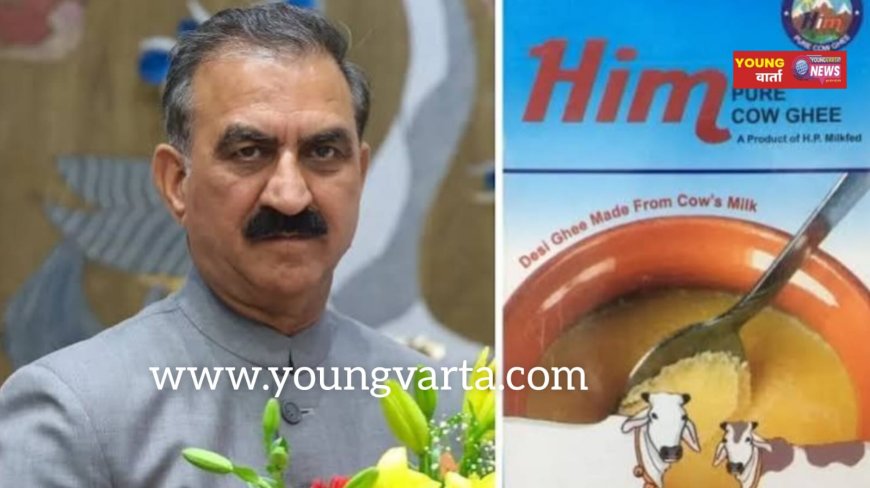 फिर महंगा हुआ हिम घी , मिल्कफेड ने 50 रुपये प्रति किलो बढ़ाए दाम , आम जनता पर पड़ी महंगाई की मार 