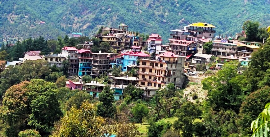 जुन्गा शहर में समस्याओं का अंबार - नवनिर्वाचित पंचायत के लिए  बड़ी चुनौती