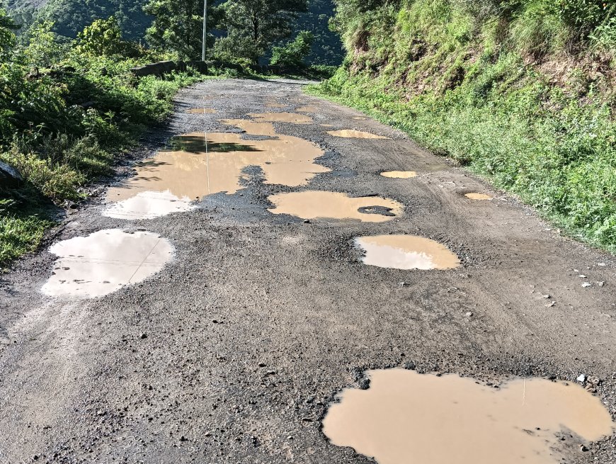 छलंडा-पीरन सड़क का दस किलोमीटर हिस्सा गड्ढों में तबदील, वाहन चालक  और लोग परेशान