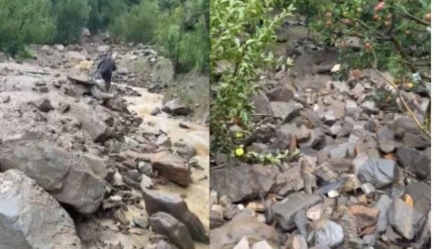शिलिंग नाले में बादल फटा, 100 से अधिक सेब के पेड़ बहे