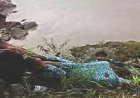 सेल्फी लेते समय ढ़ाक से गिरी लड़की, झाड़ियों में फंसी