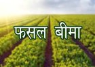 फसल बीमा योजना के तहत 15 अगस्त तक करवाएं बीमा