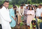 ग्रामीण क्षेत्र का विकास प्रदेश सरकार की प्राथमिकता - संजय अवस्थी