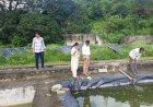 मत्स्य फार्म अलसू में आधारभूत संरचना का अधिकतम एवं वैज्ञानिक उपयोग सुनिश्चित करें- निदेशक