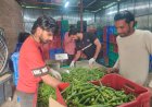 अमेजॉन फ्रेश से जुड़े हमीरपुर के किसान, सफल रहा पहला ट्रायल