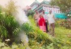 शिमला पुलिस ने भांग की खेती का किया भंडाफोड़, मौके पर पहुंच उखाड़ दिए 1240 पौधे