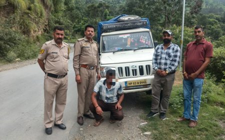 राजगढ़ में पिकअप से 100 पेटियां देसी शराब बरामद, चालक गिरफ्तार