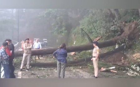 लगातार बारिश से शिमला बेहाल, संजौली में डंगा धंसा, लक्कड़ बाजार व ओक ओवर में गिरे पेड़
