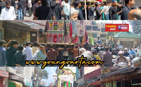 इमाम हुसैन की याद में नाहन में निकला चेहल्लुम का ताजिया, अकीदतमंदों ने दी शहादत को श्रद्धांजलि