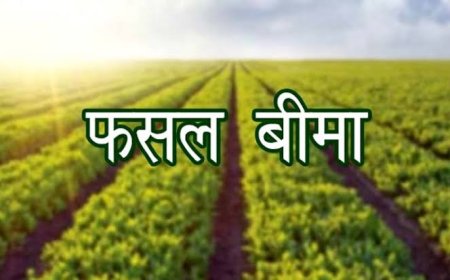 फसल बीमा योजना के तहत 15 अगस्त तक करवाएं बीमा