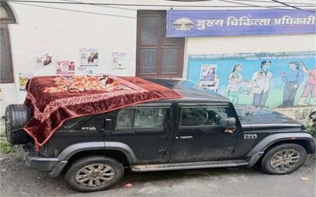 मणिमहेश यात्रा पर जा रहे पंजाब के युवक की थार पर पत्थर गिरने से मौत