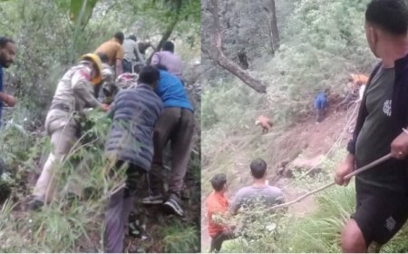 चंबा में 250 मीटर गहरी खाई में गिरी कार, दो युवकों की मौके पर मौत