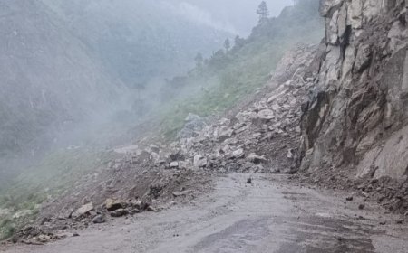 किन्नौर में फिर टूटा पहाड़, निगुलसरी में NH-5 बंद