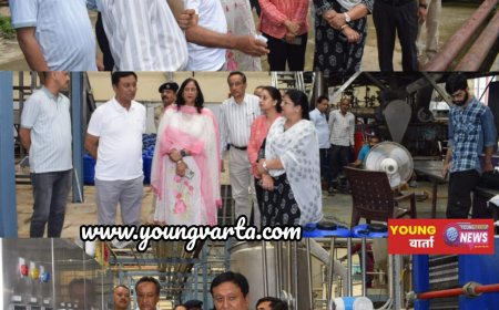 राज्य सरकार बागवानों के कल्याण के लिए प्रतिबद्ध , बागवानी मंत्री ने किया एचपीएमसी परवाणू व सेब मण्डी सोलन का निरीक्षण