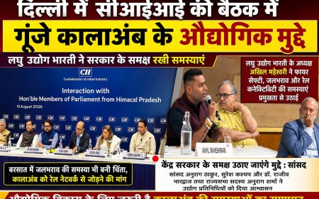 दिल्ली में सीआईआई की बैठक में गूंजे औद्योगिक क्षेत्र कालाअंब के मुद्दे , लघु उद्योग भारती ने सरकार के समक्ष रखी समस्याएं