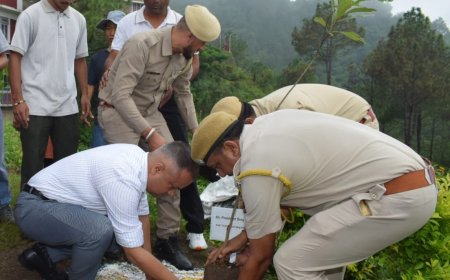 पर्यावरण संरक्षण हम सभी का नैतिक दायित्व - प्रशांत सिंह नेगी