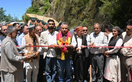 शिक्षा मंत्री ने 8.60 करोड़ की बड़वी-गरावग सड़क के उन्नयन कार्य का किया भूमिपूजन